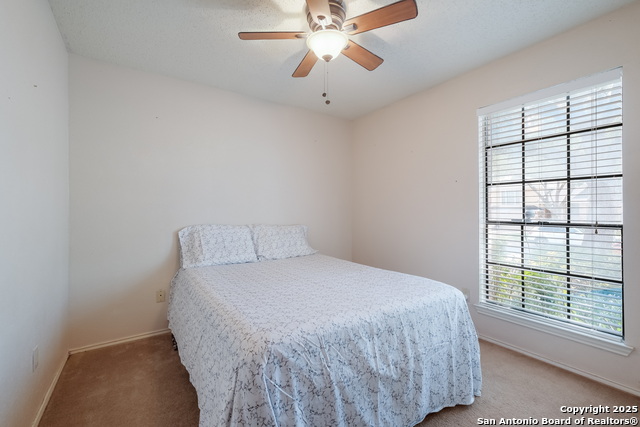 Listing photo id 19 for 7703 Forest Fern