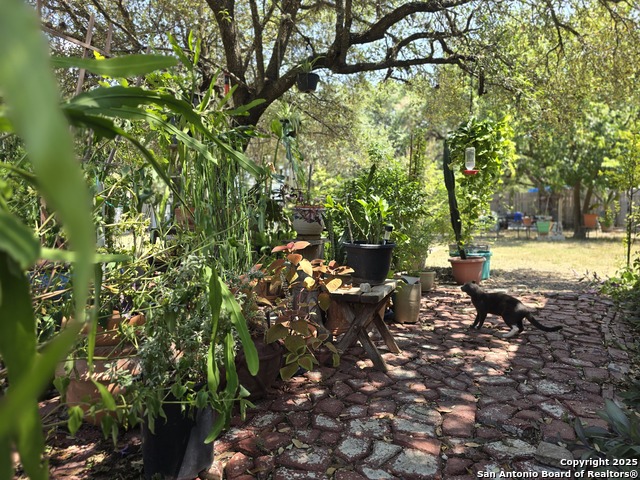 Image 4 of 31 For 200 Iroquois