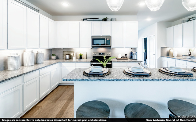 Listing photo id 4 for 2914 Tengyc Bow