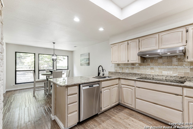 Listing photo id 16 for 8718 Paisano Pass