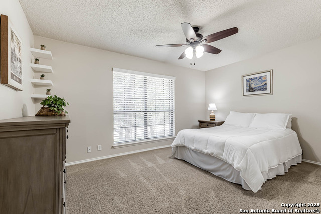 Listing photo id 30 for 8718 Paisano Pass