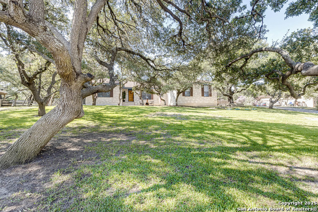 Listing photo id 47 for 8718 Paisano Pass