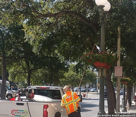 Listing photo id 11 for 425 -427 St Marys S