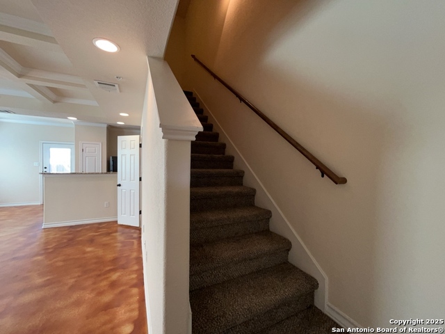 Image 15 of 36 For 16819 Dancing Ava 4