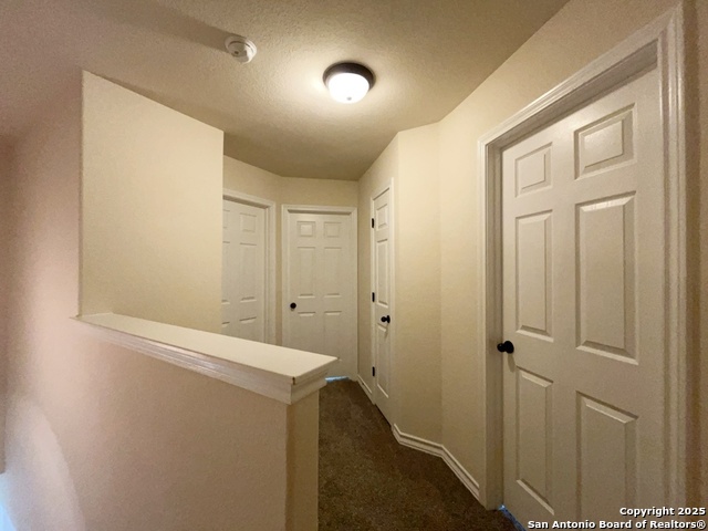 Image 16 of 36 For 16819 Dancing Ava 4