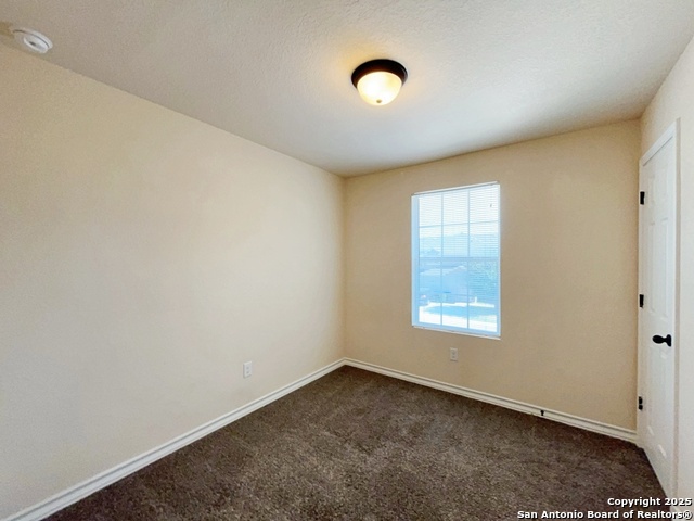 Image 24 of 36 For 16819 Dancing Ava 4