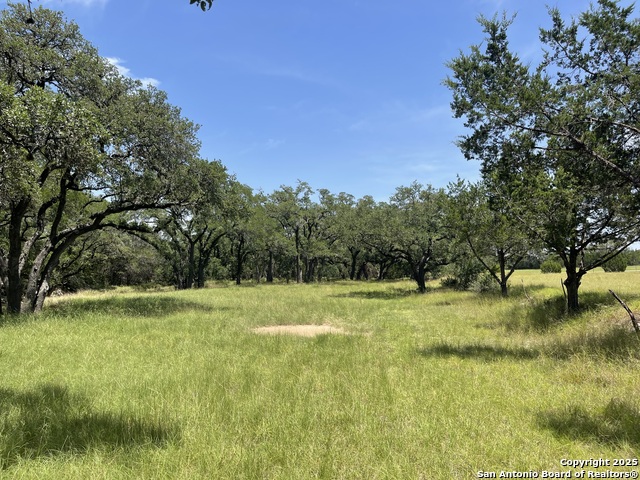 Image 49 of 52 For 164 Grey Bluff