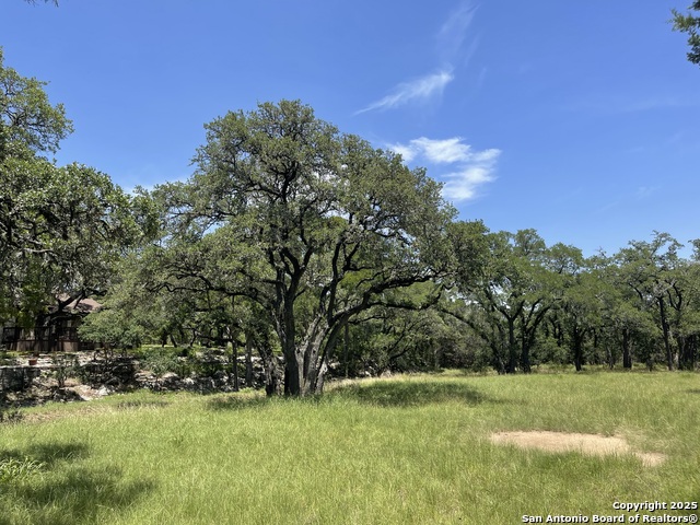 Image 50 of 52 For 164 Grey Bluff