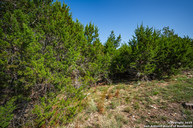 Listing photo id 8 for 1121 Sleepy Hollow