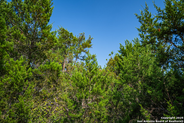 Listing photo id 9 for 1121 Sleepy Hollow