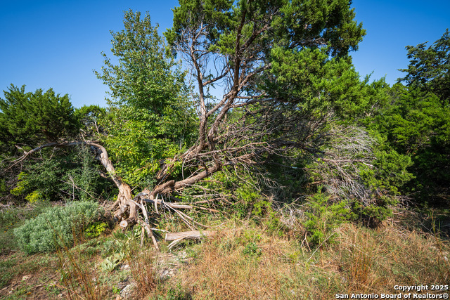 Listing photo id 10 for 1121 Sleepy Hollow