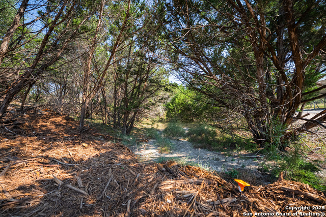 Listing photo id 11 for 1121 Sleepy Hollow