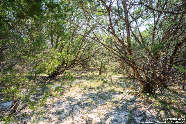 Listing photo id 12 for 1121 Sleepy Hollow