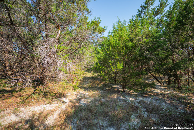 Listing photo id 13 for 1121 Sleepy Hollow