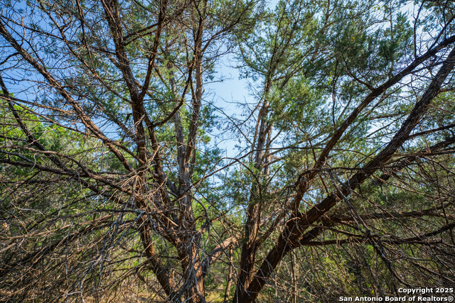 Listing photo id 14 for 1121 Sleepy Hollow