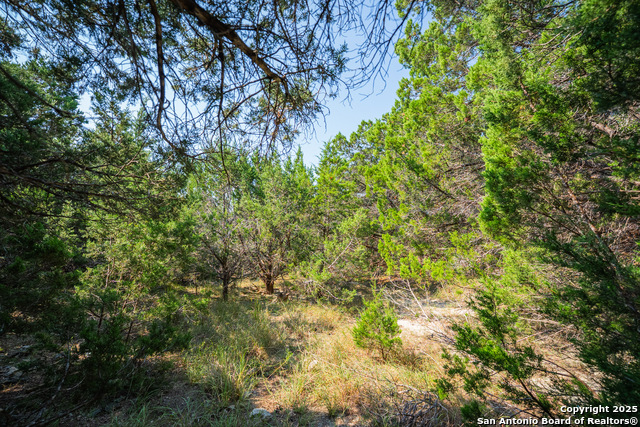 Listing photo id 16 for 1121 Sleepy Hollow