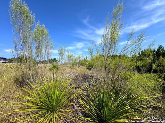 Listing photo id 8 for 144 Jackson  