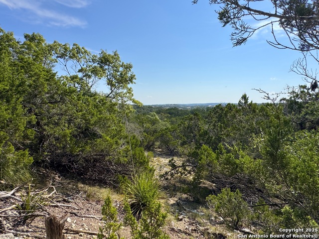 Listing photo id 5 for 144 Jackson  