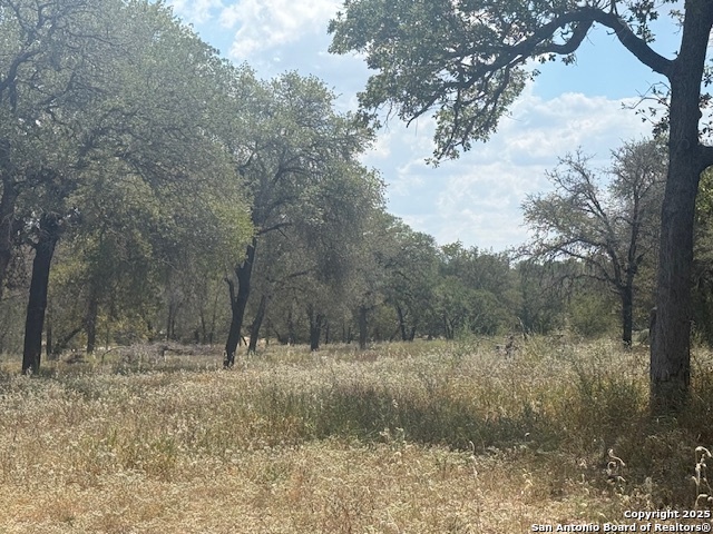 Image 3 of 18 For 141 Oak Hill