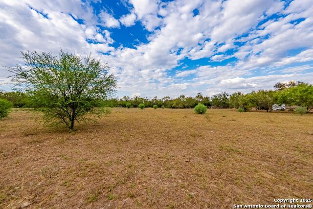 Listing photo id 30 for 423 Fm 2772