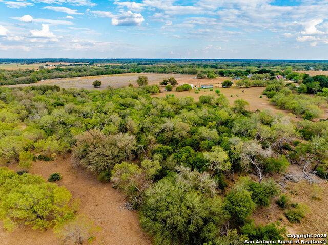Listing photo id 58 for 423 Fm 2772