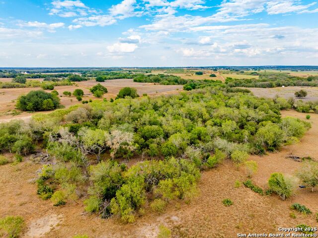 Listing photo id 60 for 423 Fm 2772