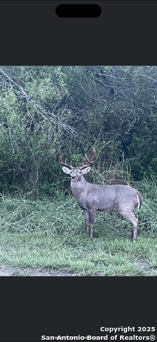 Listing photo id 16 for 125 County Road 402