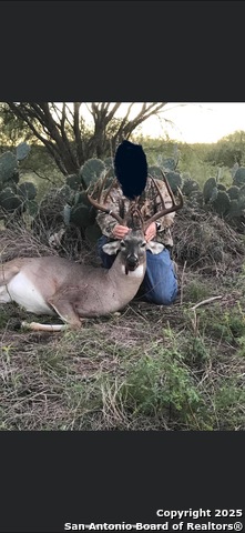 Listing photo id 17 for 125 County Road 402