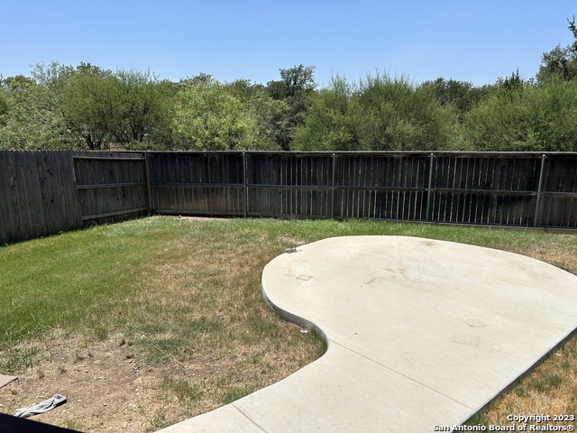 Image 5 of 31 For 22427 Carriage Bush