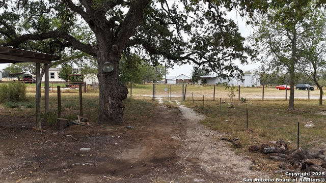 Listing photo id 22 for 3557 Fm 1346