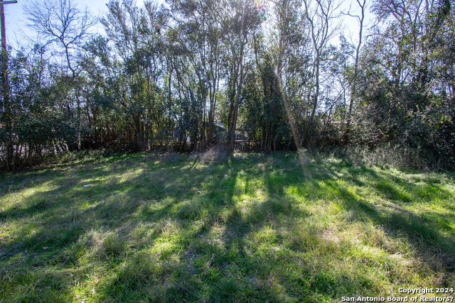 Listing photo id 9 for 314 Plant Ave S