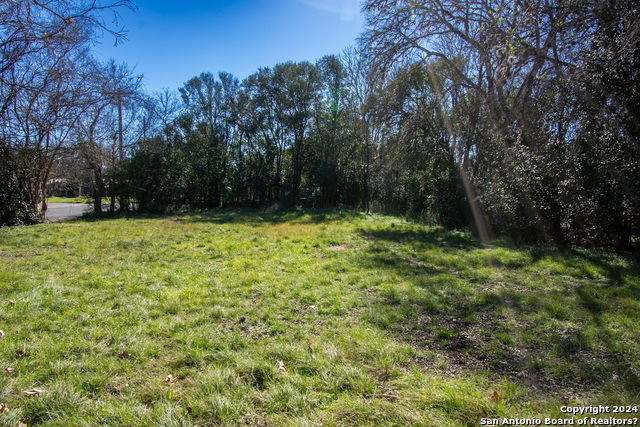 Listing photo id 4 for 314 Plant Ave S