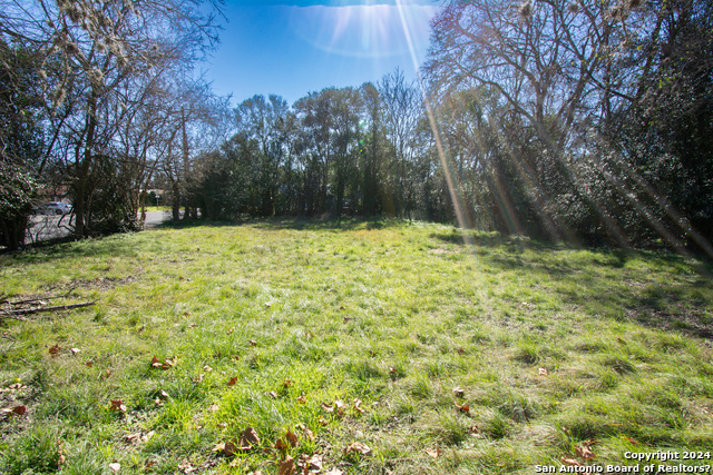 Listing photo id 7 for 314 Plant Ave S