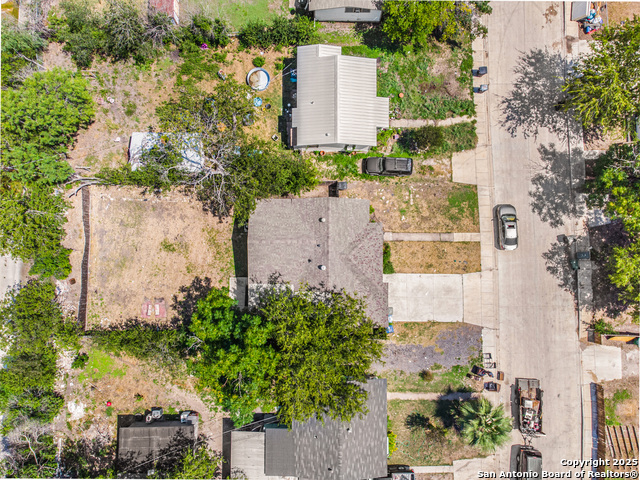 Image 21 of 24 For 1047 Poinsettia