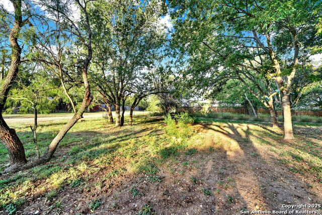 Image 36 of 37 For 245 Bandera  