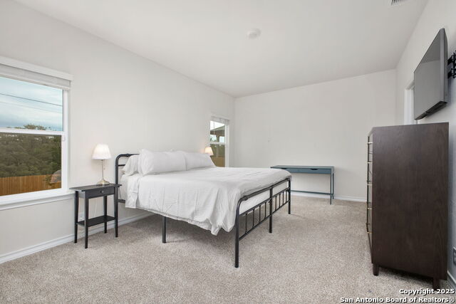 Image 9 of 29 For 4810 Sulphur Trace