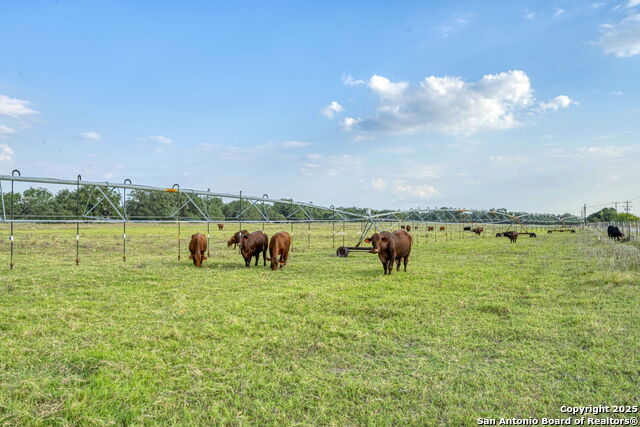 Image 24 of 35 For 2605 Schuttig Road