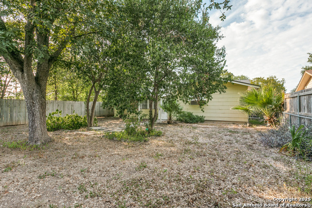 Image 14 of 14 For 3022 Redstart