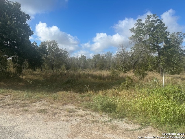 Details for 665 Clear Lake, Poteet, TX 78065