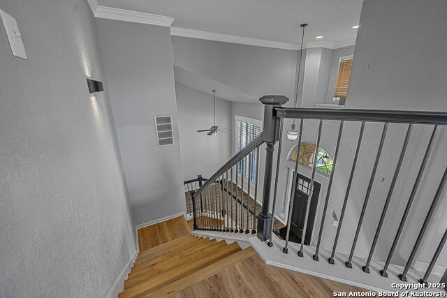 Image 24 of 50 For 14206 Summer Squall