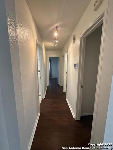 Image 18 of 34 For 1624 Spice  