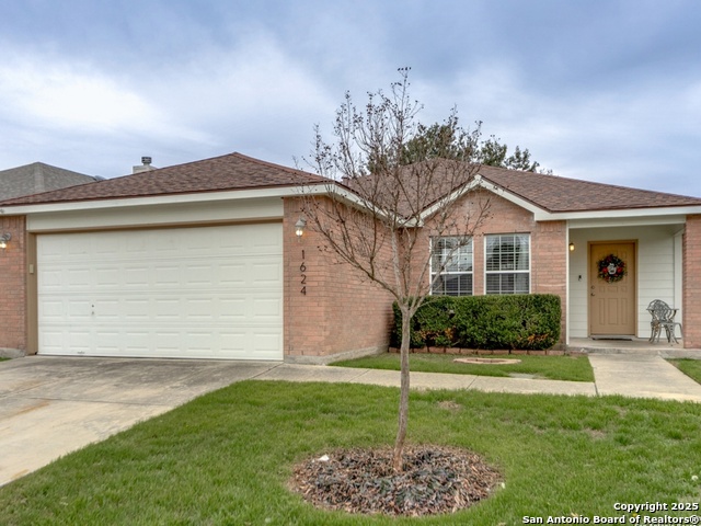 Image 2 of 34 For 1624 Spice  