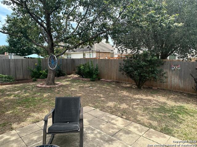 Image 31 of 34 For 1624 Spice  