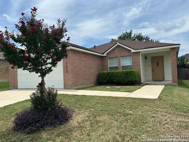 Image 34 of 34 For 1624 Spice  