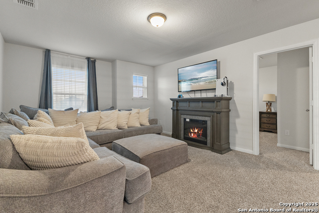 Listing photo id 12 for 163 Porcupine Ln