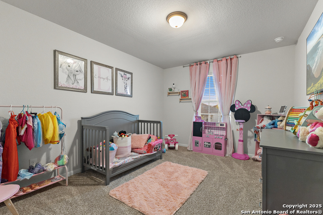 Listing photo id 13 for 163 Porcupine Ln