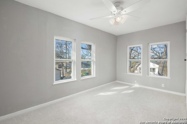 Image 15 of 16 For 109 Blue Bonnet 2