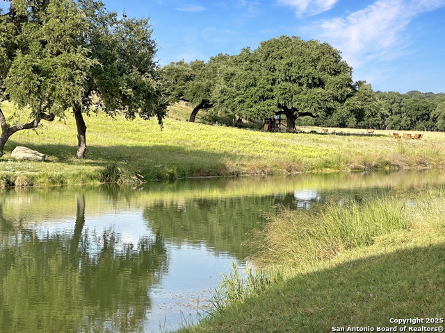 Details for Lot 42 Blackbuck, Pipe Creek, TX 78063