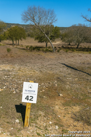 Image 20 of 20 For Lot 42 Blackbuck