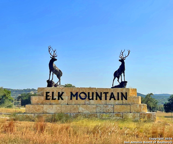 Image 4 of 20 For Lot 42 Blackbuck